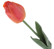 Цветок искусственный "Тюльпан", L5 W5 H52 см																			