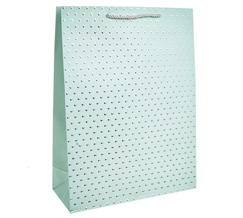 Пакет подарочный (бумага, плотность 210г/м2, блок 12шт), L26 W10 H32 см, 4в.																			