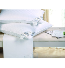 Подушка шелковая P-1 (50 х70 см.)