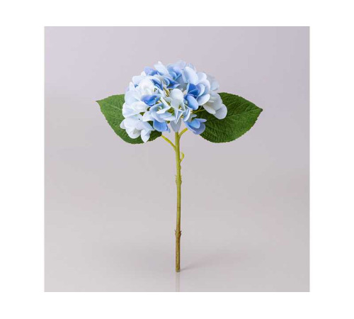 ГОРТЕНЗИЯ ГОЛУБАЯ 32 СМ