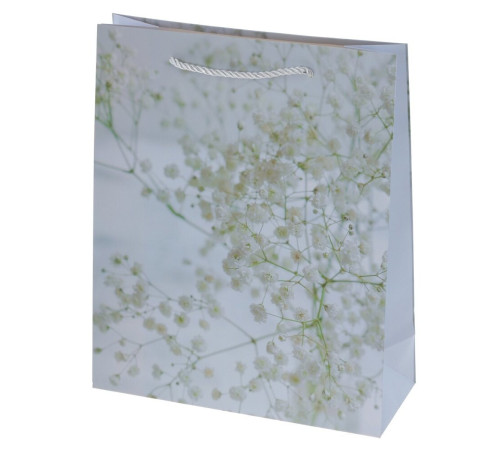 Пакет подарочный (бумага 210г/м2, блок 12шт) стоимость за 1шт (Нужный вариант указать в комментарии), L26 W10 H32 см, 4в.