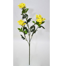 21-1120 Матрикария ветка (YL)