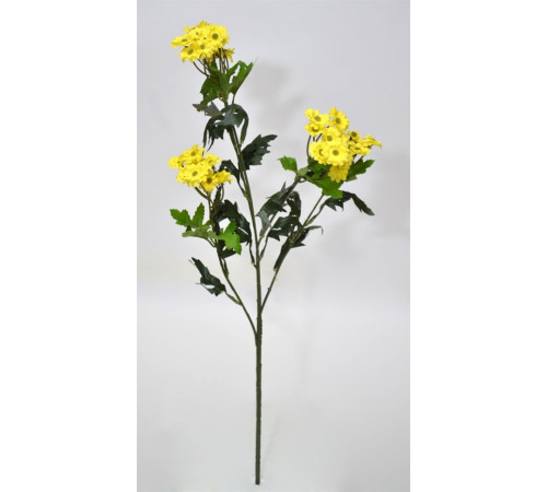 21-1120 Матрикария ветка (YL)