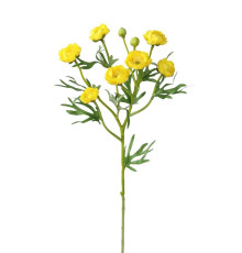 709-365 Ранункулюс (жёлтый) (12)