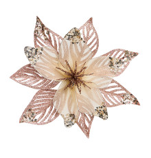 Пуансеттия шампань на клипе d 20х8,5 см 