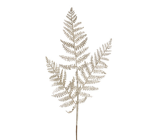 Ветка папоротника Азолла шампань, 80 см