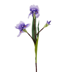 709-323 Ирис (лиловый) (12)