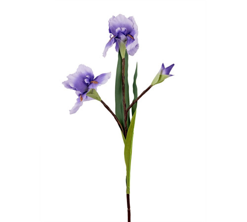 709-323 Ирис (лиловый) (12)