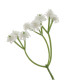 Цветок искусственный "Гипсофила", L16 W12 H61 см