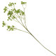 Цветок искусственный "Гипсофила", L16 W12 H61 см