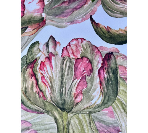 Скатерть столовая Зеленый тюльпан 145 x 300 см