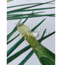 Скатерть столовая Прямо с грядки 145 х 200 см